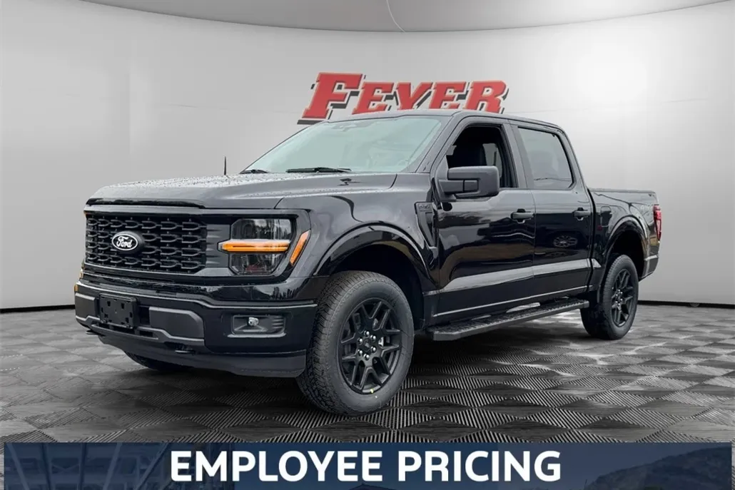 2025 Ford F-150 STX photo 1