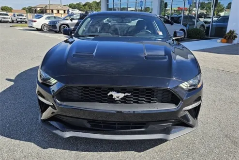 2020 Ford Mustang EcoBoost photo 2