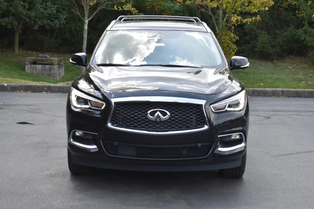2019 Infiniti QX60 Luxe photo 1