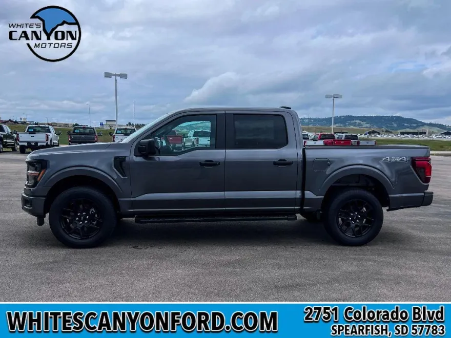 2025 Ford F-150 STX photo 1