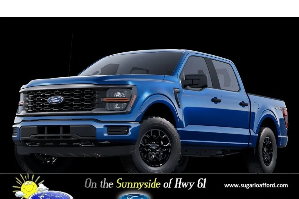 2025 Ford F-150 STX photo 1