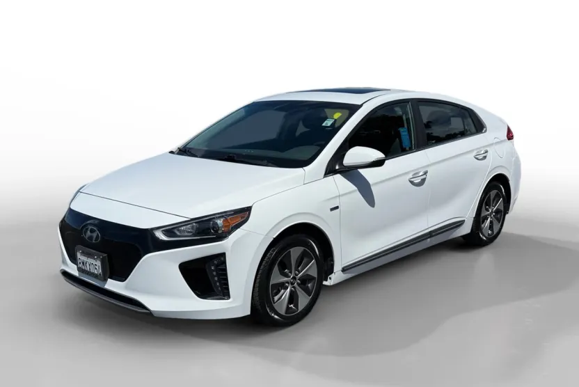 2019 Hyundai Ioniq Electric Limited photo 1