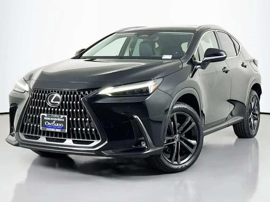 2023 Lexus NX Luxury photo 1
