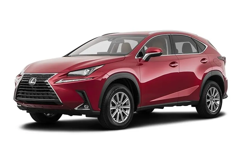 2019 Lexus NX 300 Luxury photo 1