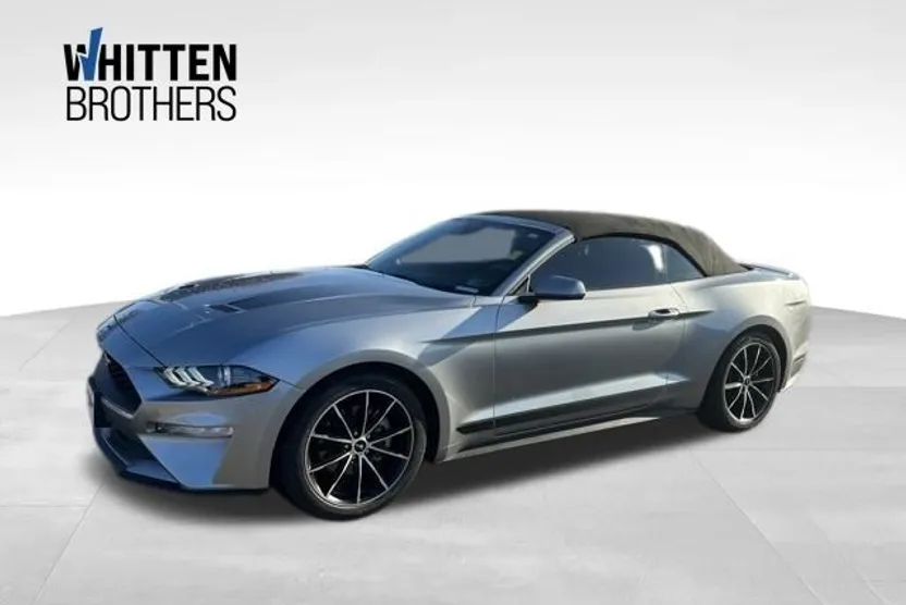 2022 Ford Mustang EcoBoost Premium photo 1