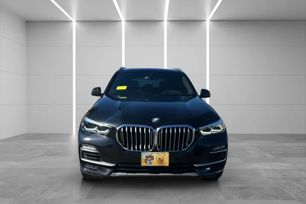 2019 Bmw X5 xDrive40i photo 1