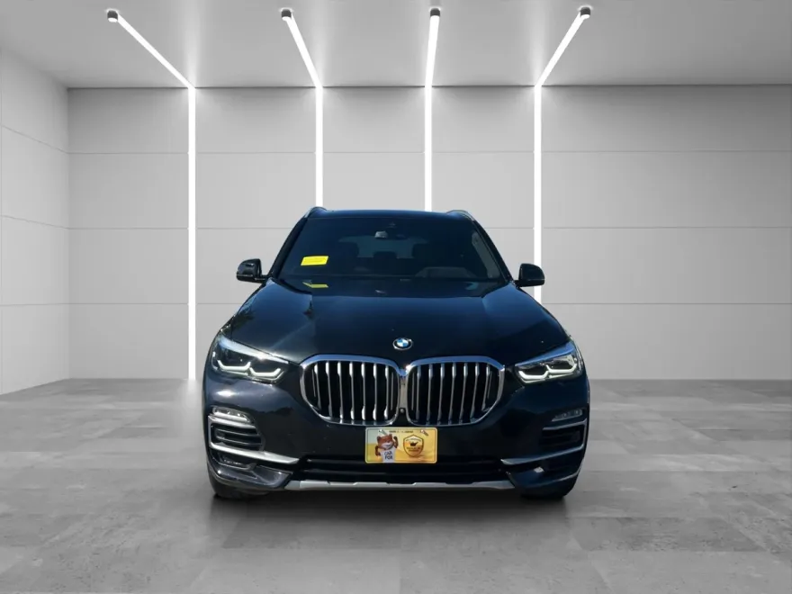 2019 Bmw X5 xDrive40i photo 1
