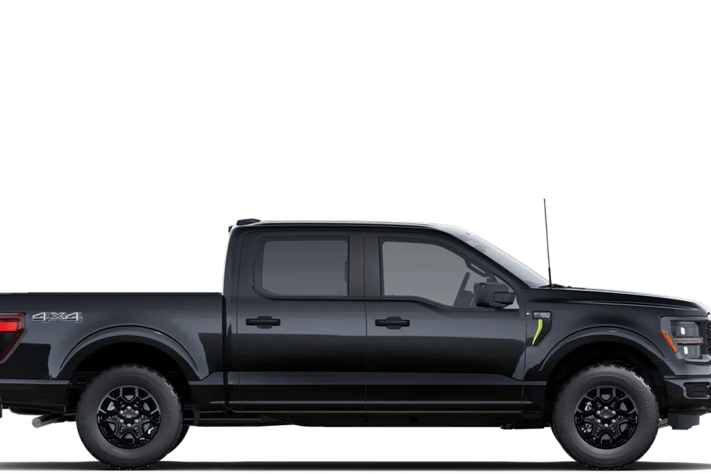 2025 Ford F-150 STX photo 5