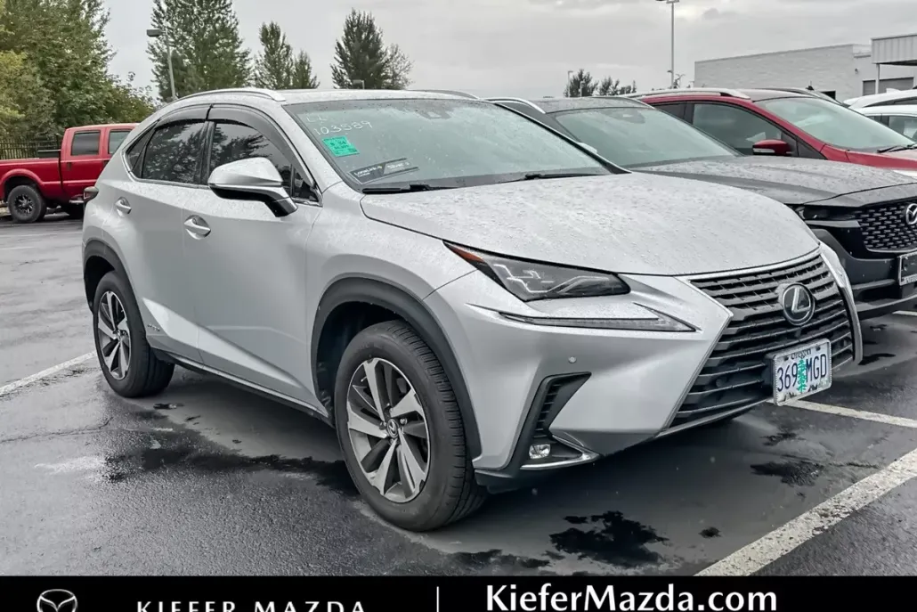 2018 Lexus NX 300h Luxury photo 1