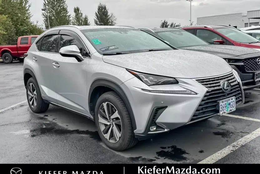2018 Lexus NX 300h Luxury photo 1