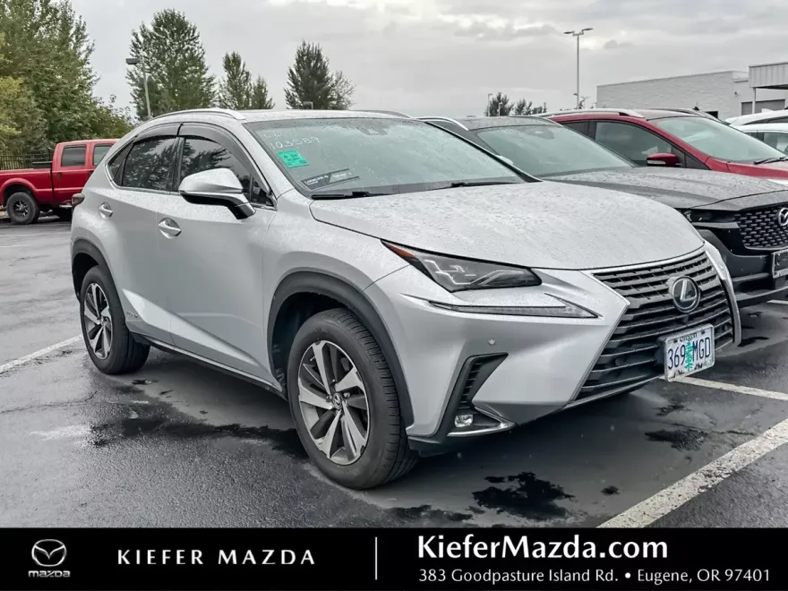 2018 Lexus NX 300h Luxury photo 1