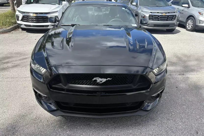 2015 Ford Mustang GT Premium photo 1