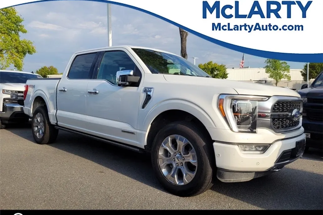 2021 Ford F-150 Platinum photo 1