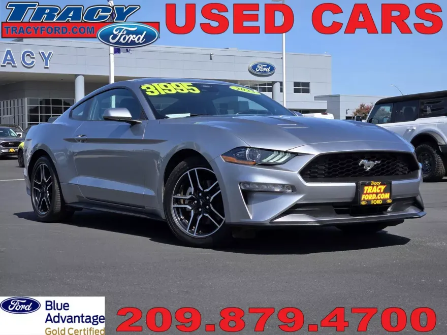 2023 Ford Mustang EcoBoost Premium photo 1