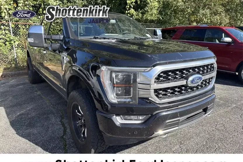 2022 Ford F-150 Platinum photo 1