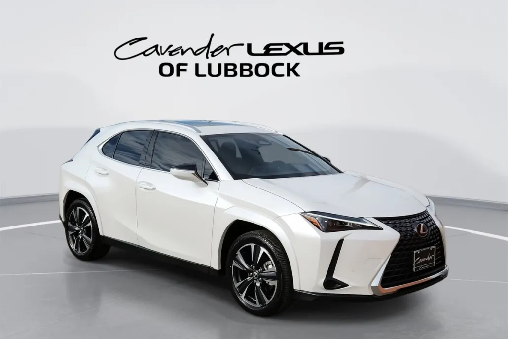 2025 Lexus UX Premium photo 1