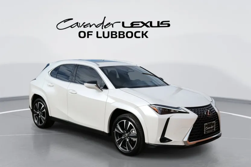 2025 Lexus UX Premium photo 1