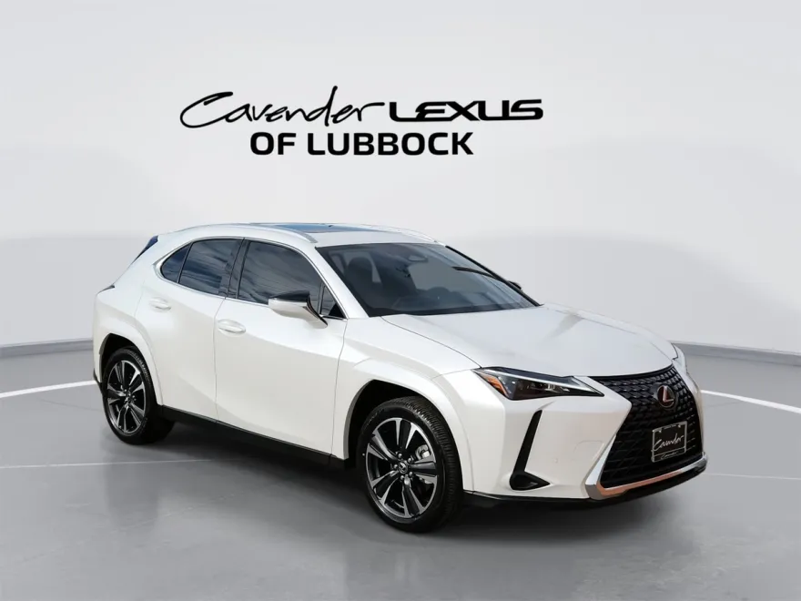 2025 Lexus UX Premium photo 1