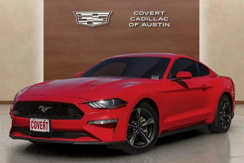 2019 Ford Mustang EcoBoost photo 1