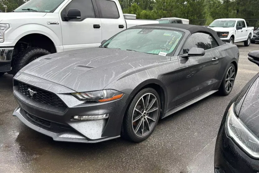2019 Ford Mustang EcoBoost Premium photo 1