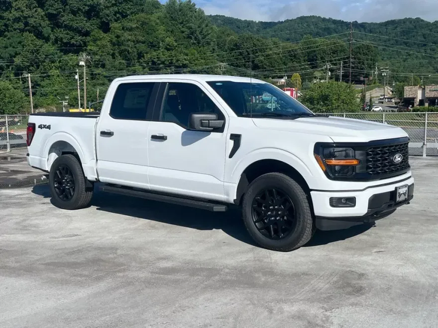 2025 Ford F-150 STX photo 1