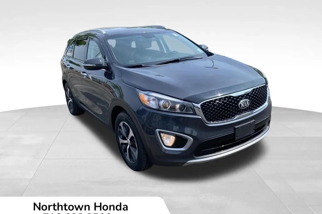 2017 Kia Sorento EX V6 photo 1