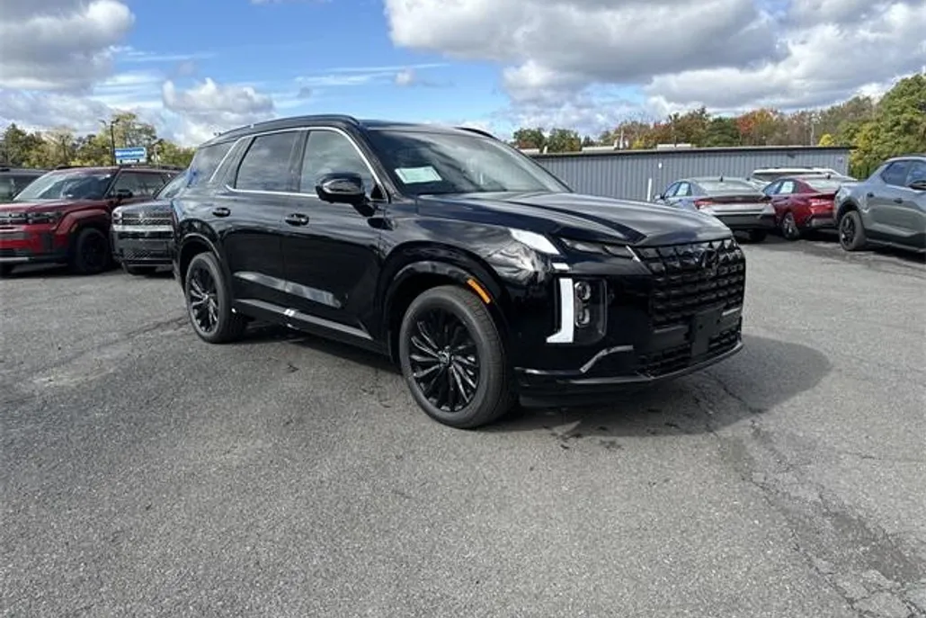 2025 Hyundai Palisade Calligraphy photo 1