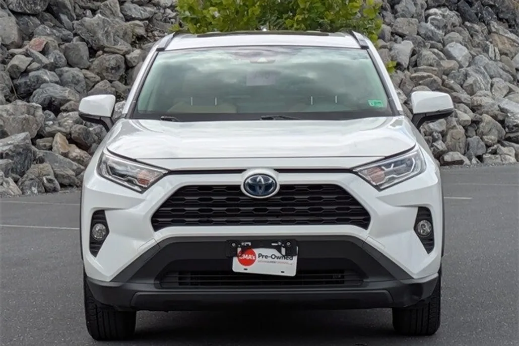 2019 Toyota RAV4 Hybrid XLE photo 1