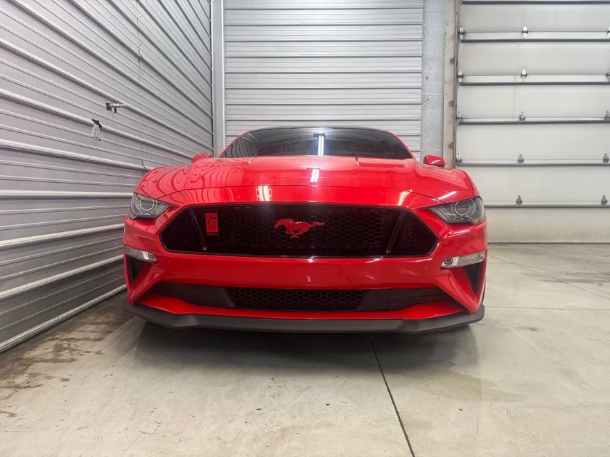2019 Ford Mustang GT photo 1