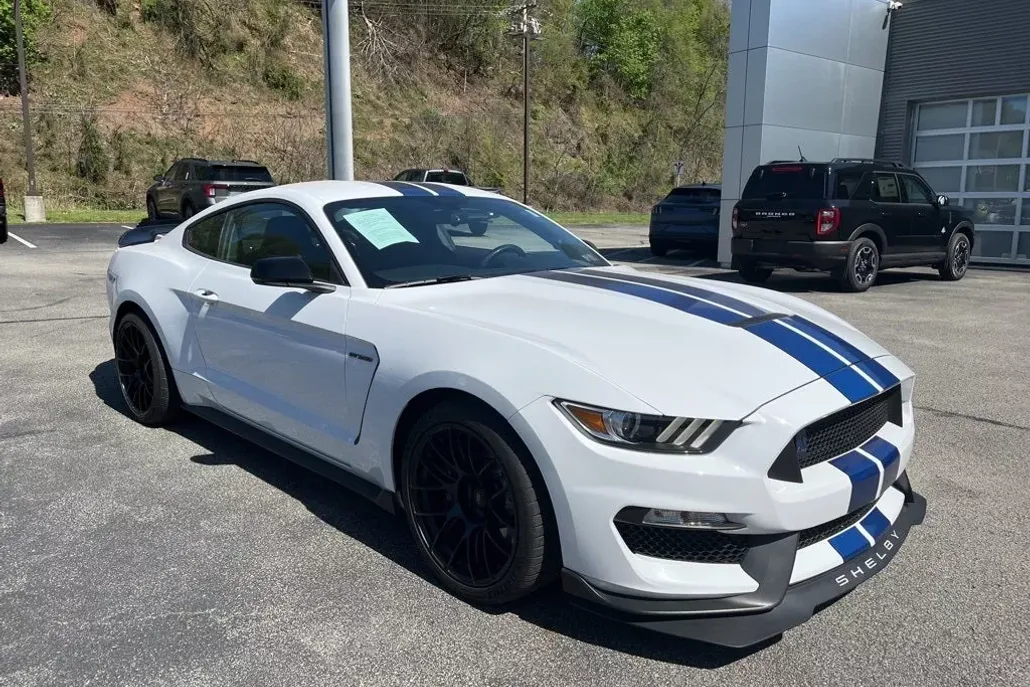 2017 Ford Mustang Shelby GT350 photo 1