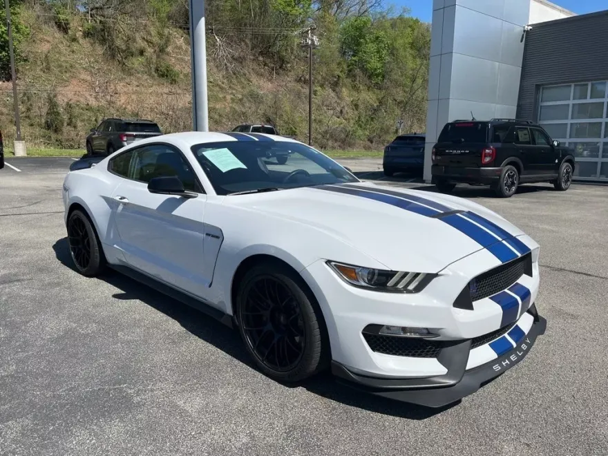 2017 Ford Mustang Shelby GT350 photo 1