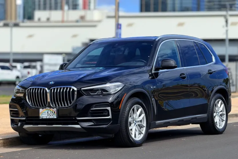 2023 Bmw X5 xDrive45e photo 1