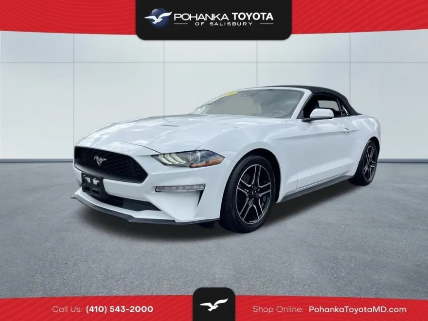 2023 Ford Mustang EcoBoost Premium photo 1