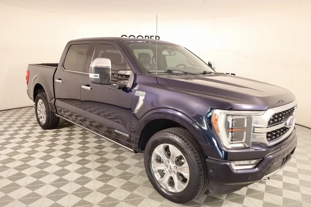 2021 Ford F-150 Platinum photo 1