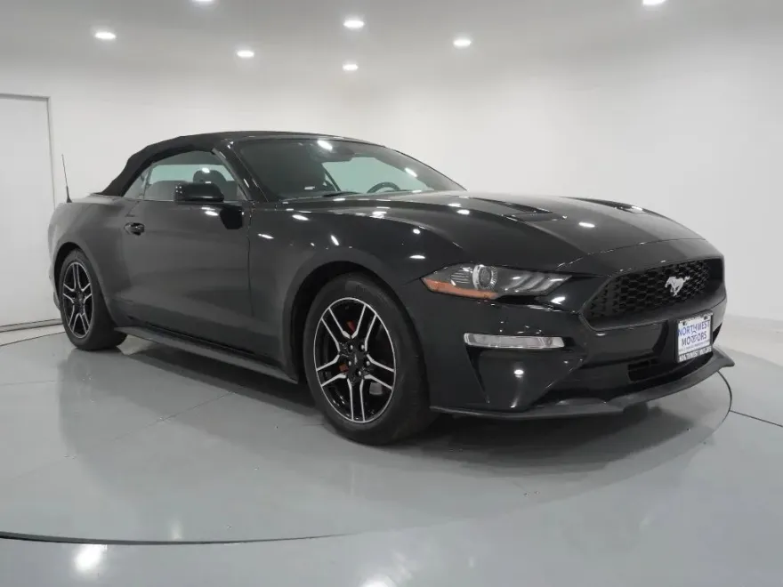 2021 Ford Mustang EcoBoost Premium Convertible photo 1