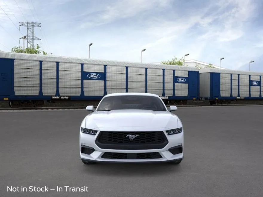 2025 Ford Mustang EcoBoost photo 6