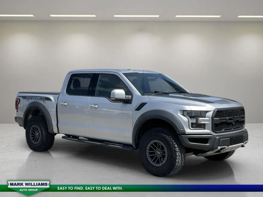 2019 Ford F-150 Raptor photo 1