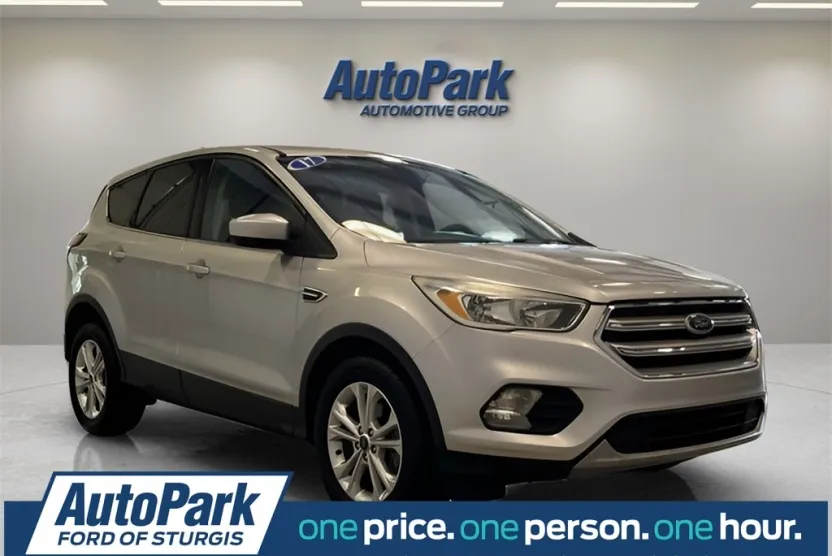2017 Ford Escape SE photo 1