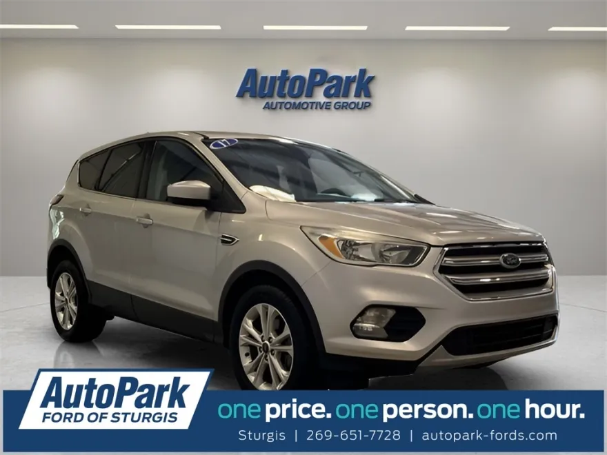 2017 Ford Escape SE photo 1