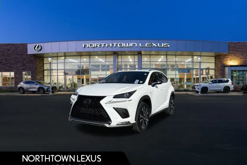 2020 Lexus NX 300 F SPORT photo 1