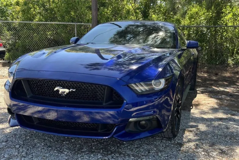 2015 Ford Mustang GT Premium photo 1