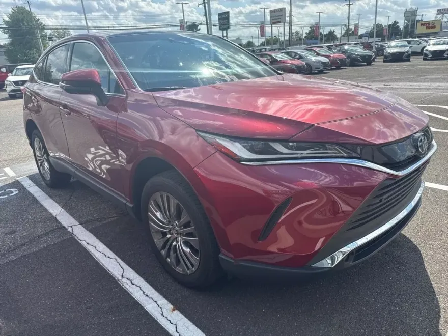 2023 Toyota Venza Limited photo 1