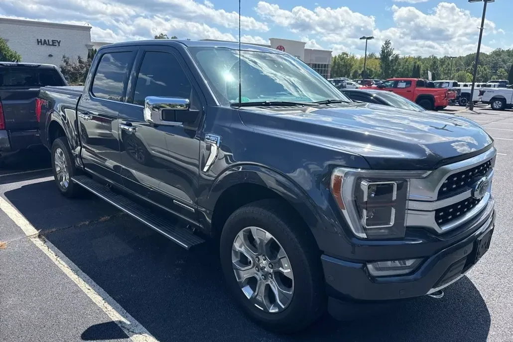 2022 Ford F-150 Platinum photo 1
