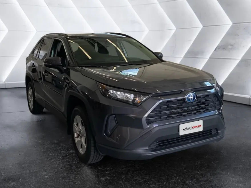 2019 Toyota RAV4 Hybrid LE photo 1