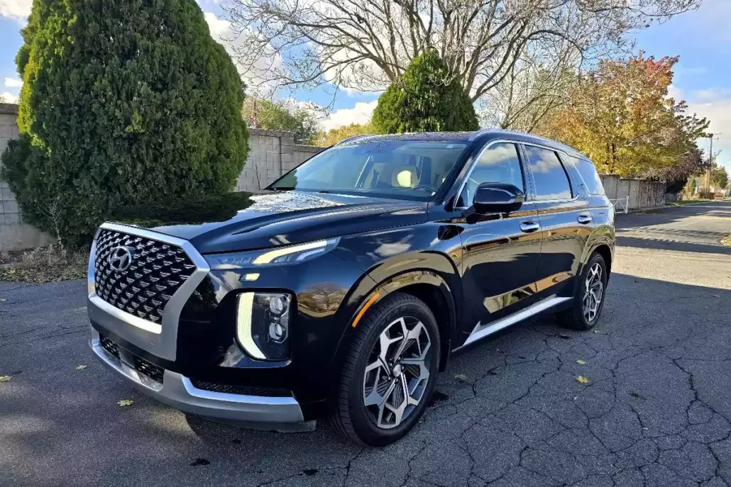 2021 Hyundai Palisade Calligraphy photo 1