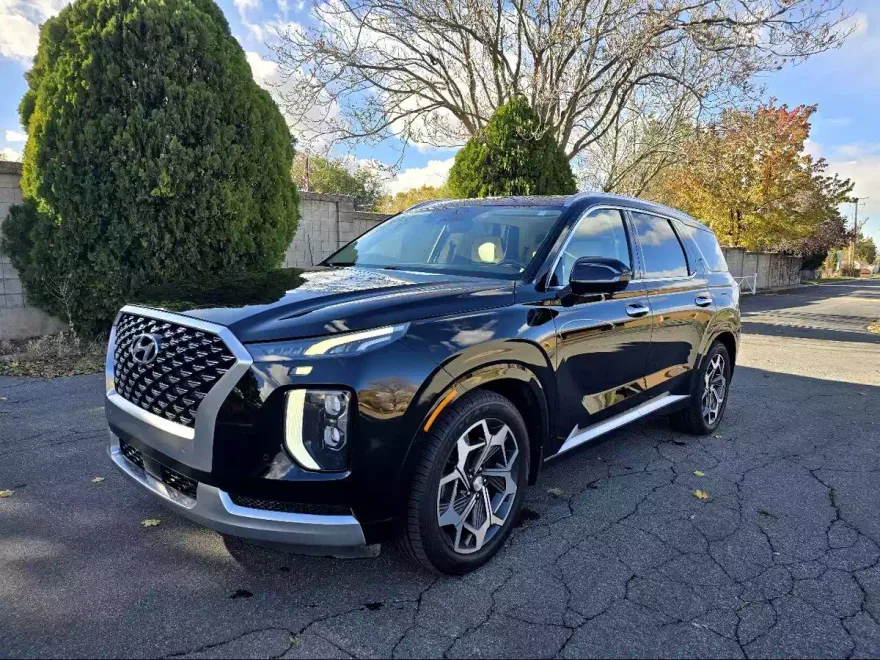 2021 Hyundai Palisade Calligraphy photo 1
