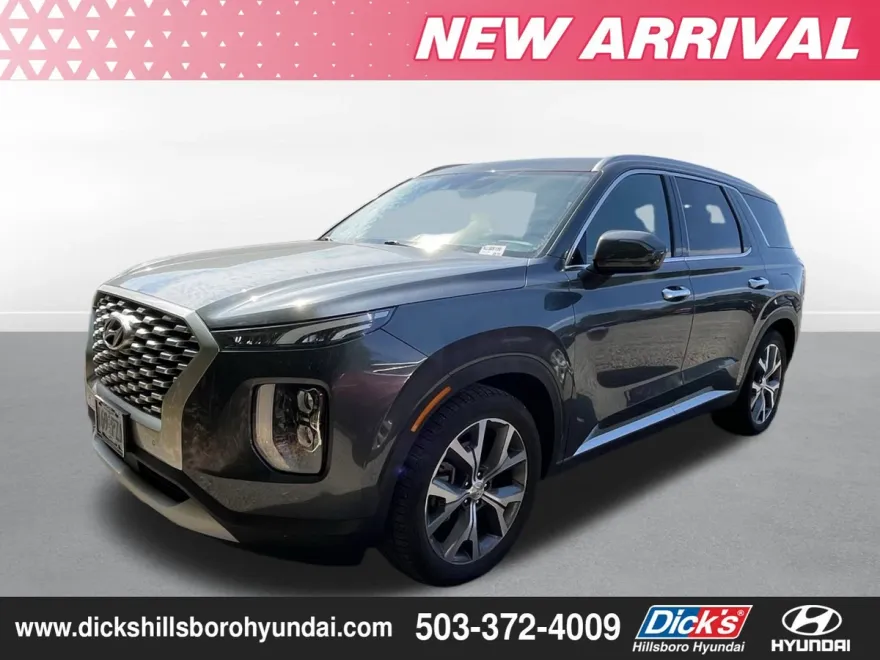 2022 Hyundai Palisade SEL photo 1