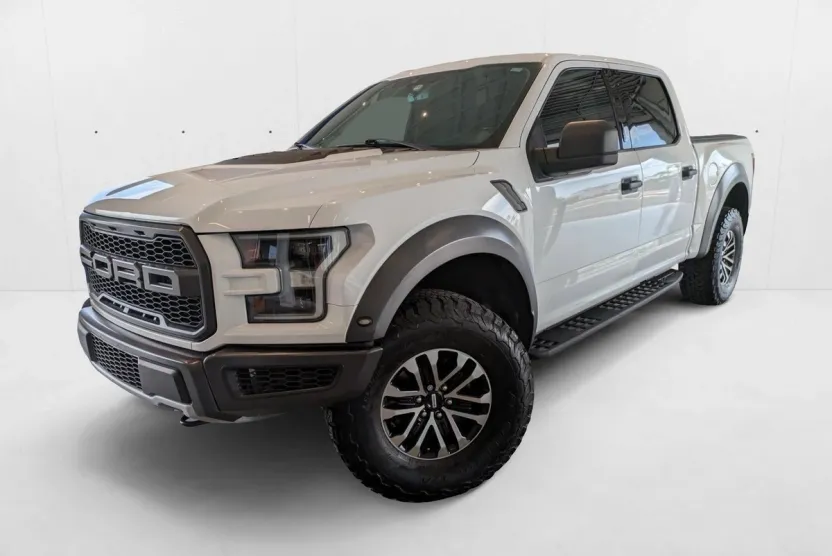 2019 Ford F-150 Raptor photo 1