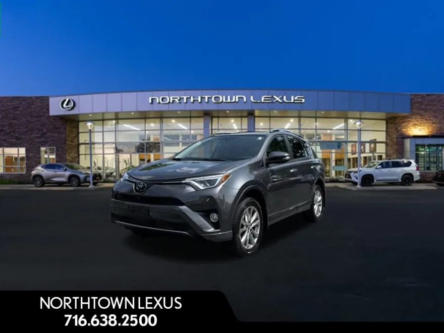 2017 Toyota RAV4 Platinum photo 1
