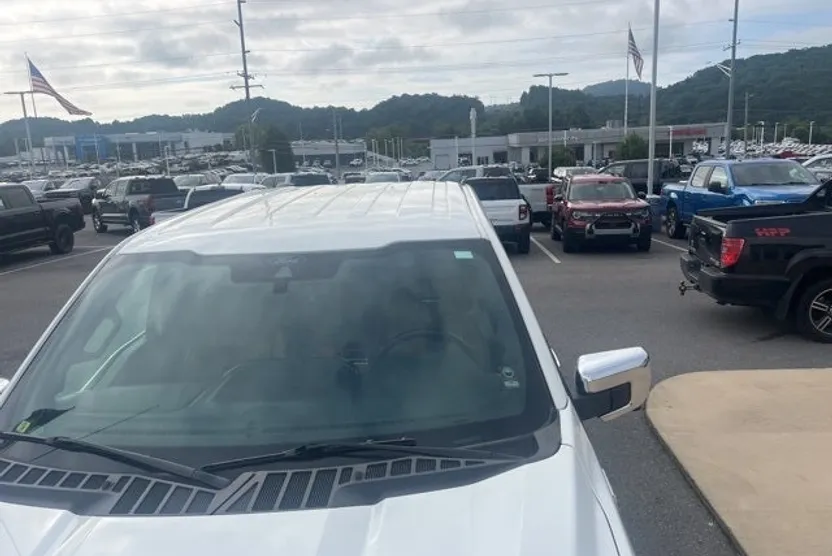 2021 Ford F-150 Platinum photo 1